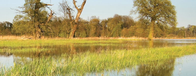 Obálka časopisu Ochrana přírody