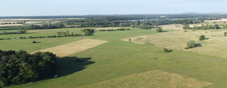 Louky v CHKO Soutok