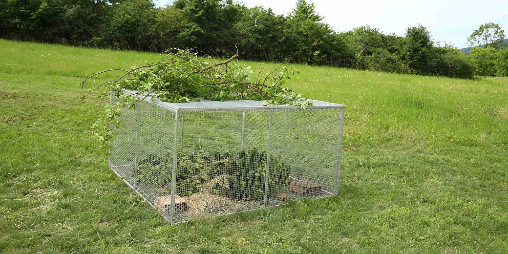 Připravená vypouštěcí ohrádka v PP Syslí louky u Loděnice.