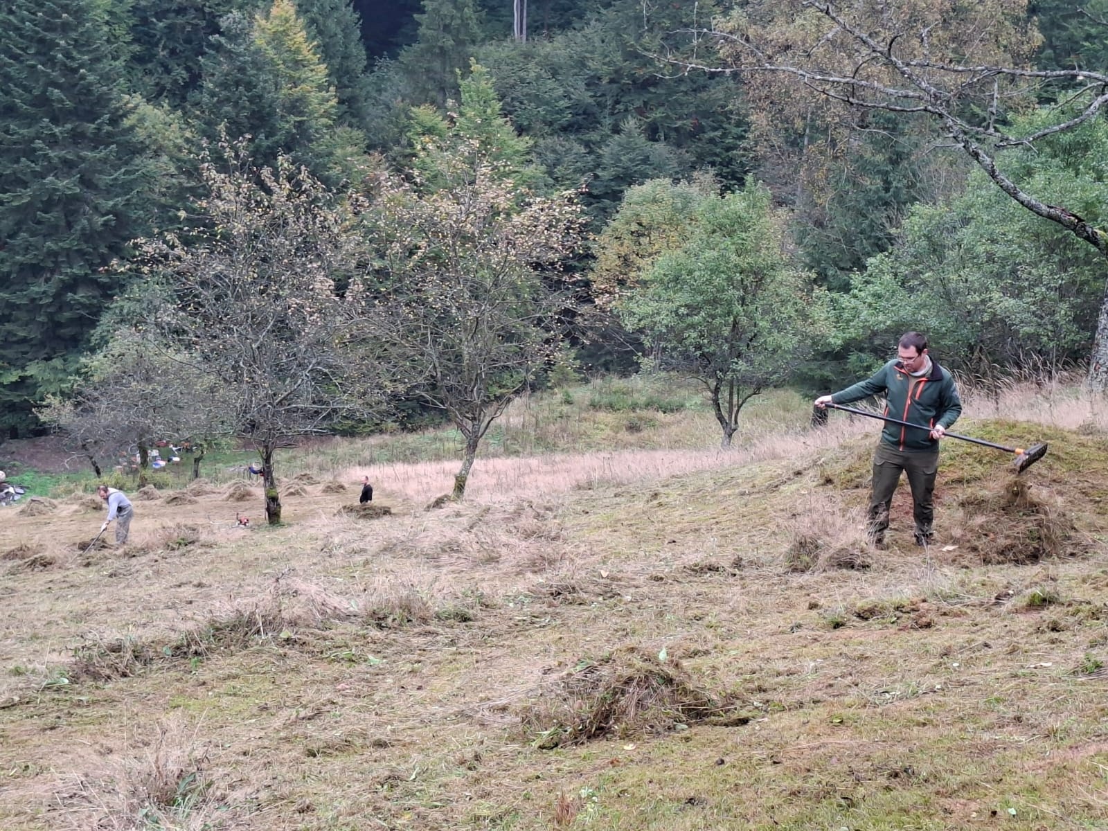 strážci se podílejí i na péči o cenné orchidejové louky