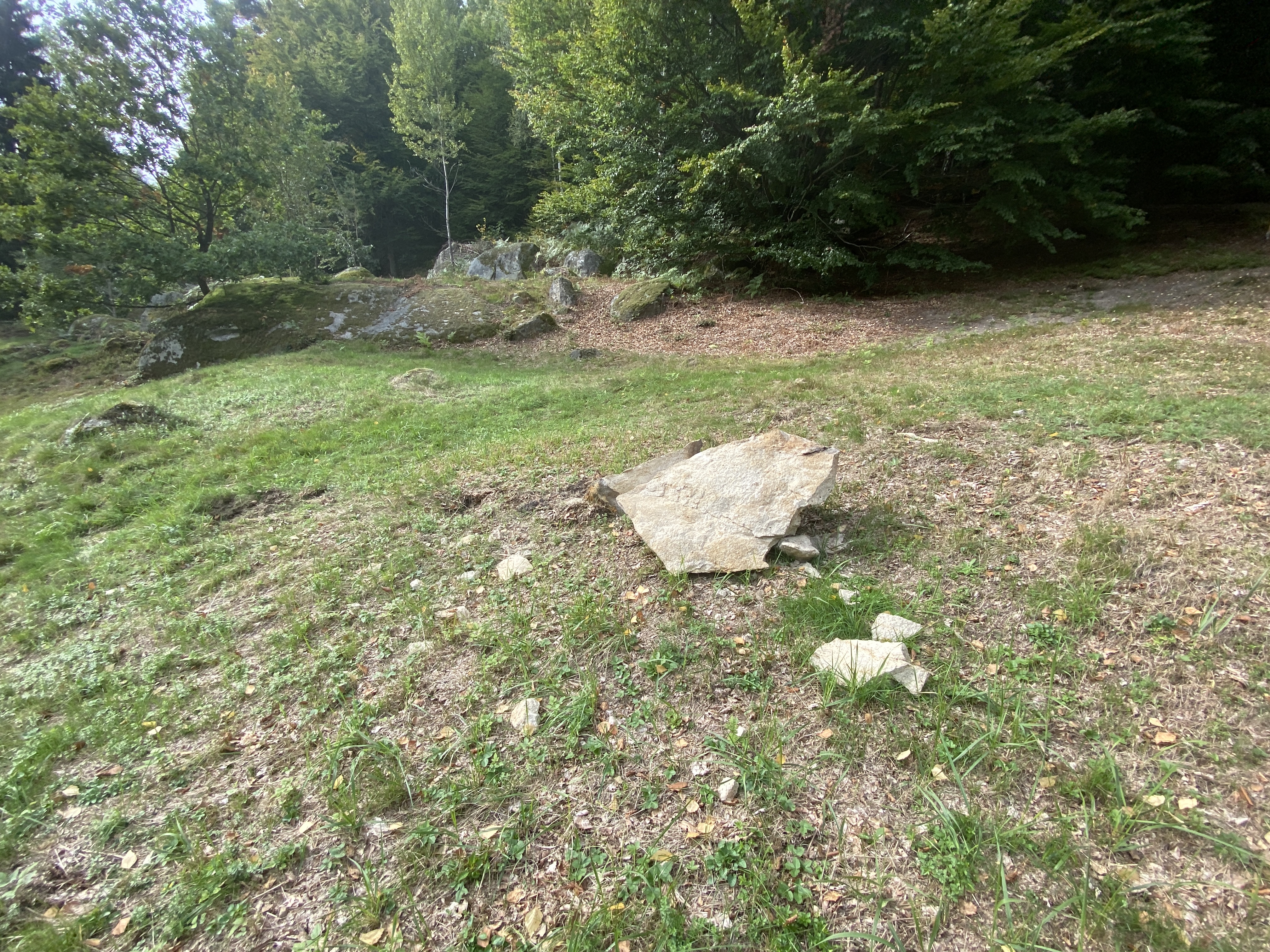 Popadané kameny ze skal.