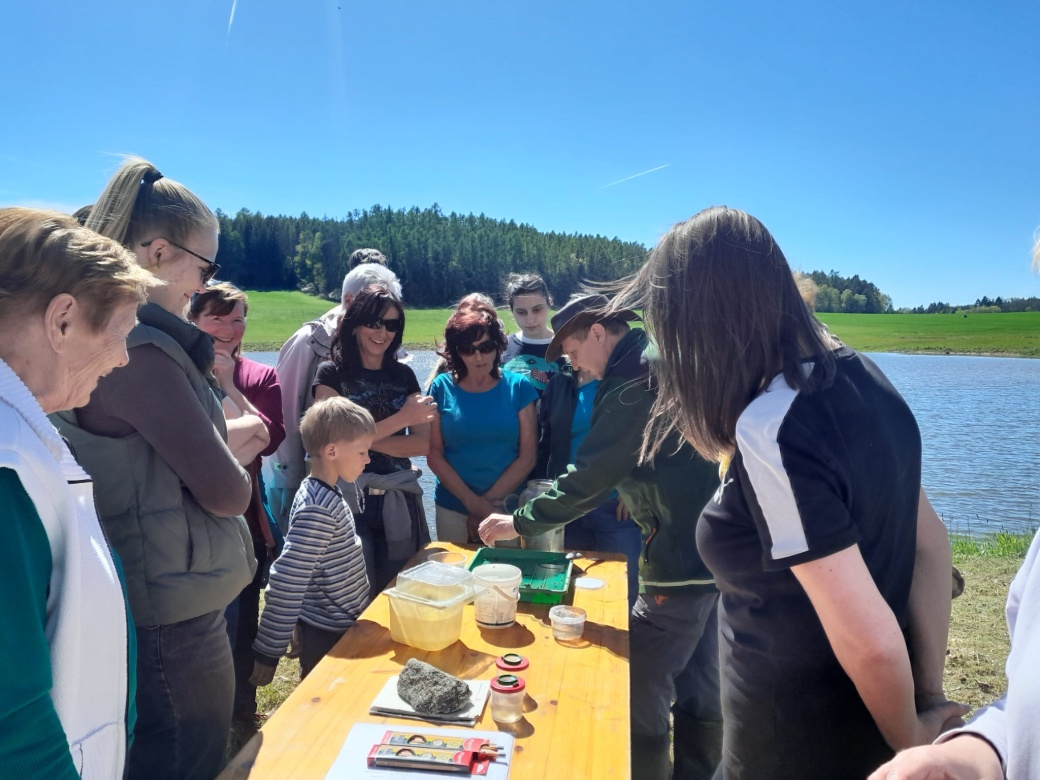 Ukázka vodních živočichů.