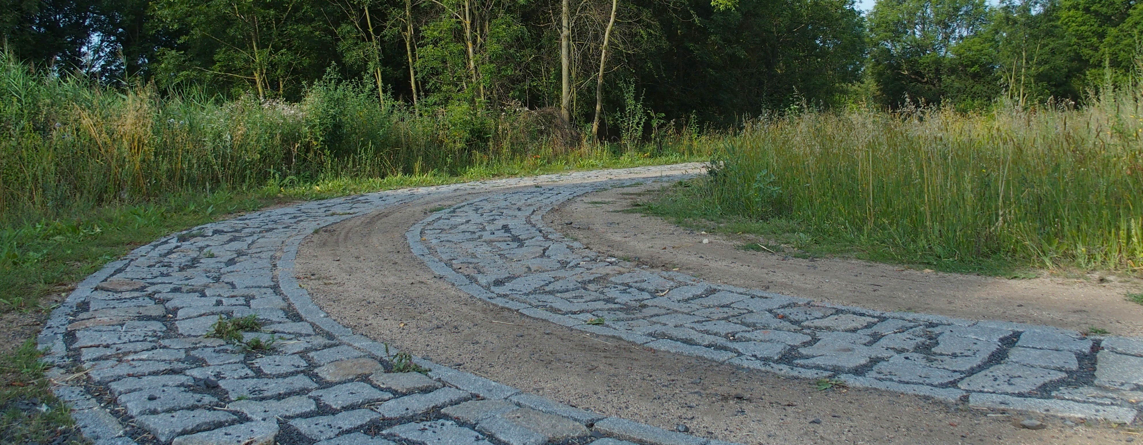 Nová polní cesta u obce Kozly, foto: Šárka Kopecká