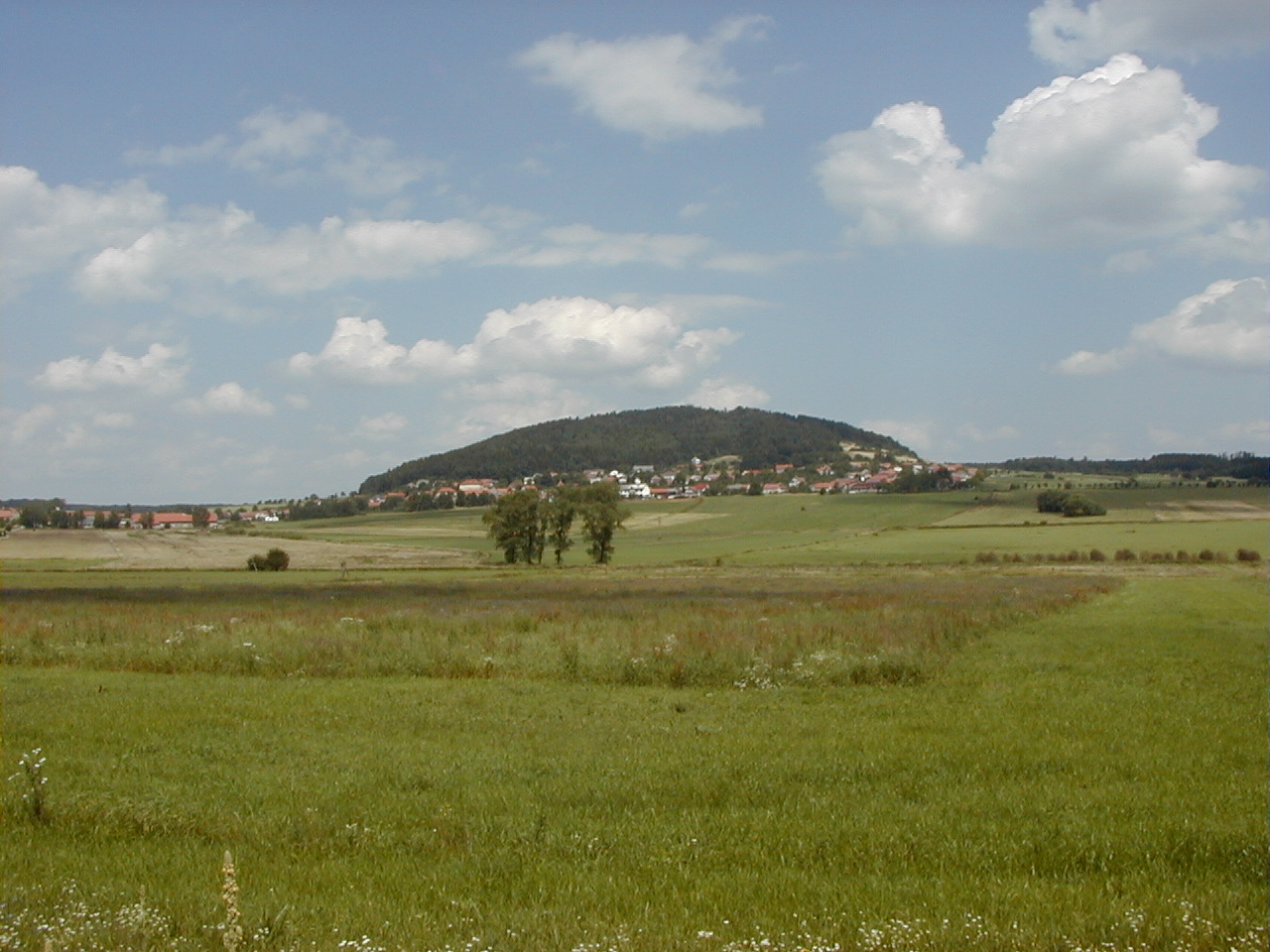 Krajina v CHKO Křivoklátsko.