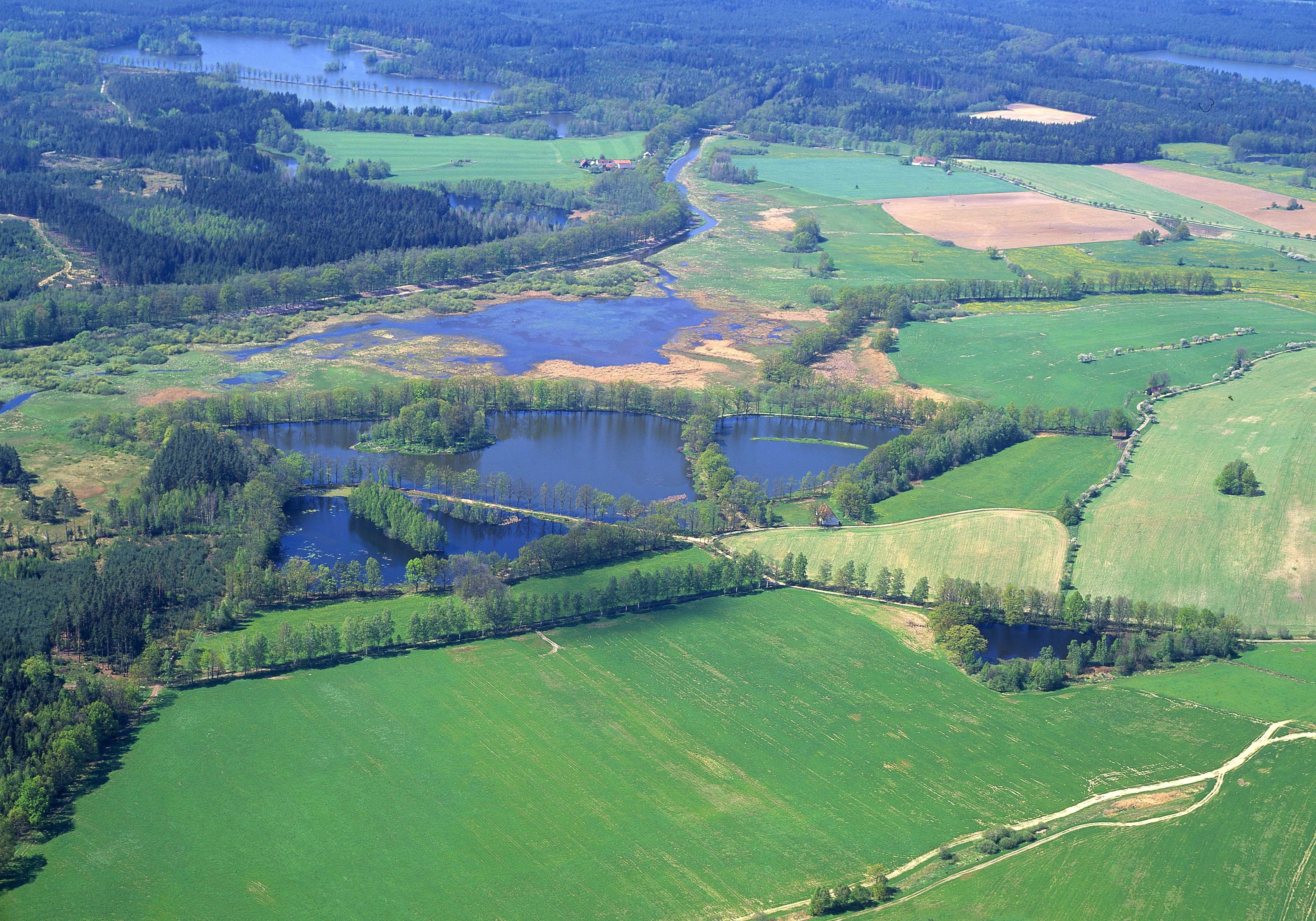 foto RNDr. Jan Ševčík, Stříbřec