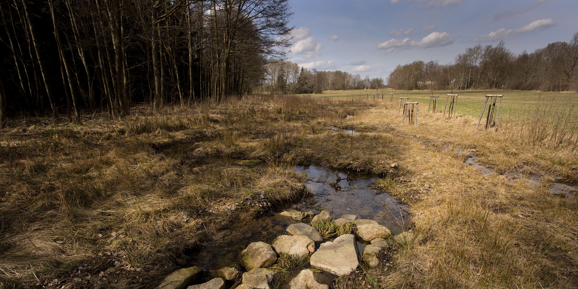 Revitalizace Debrného potoka čtyři roky po realizaci. Foto: Zuzana Růžičková